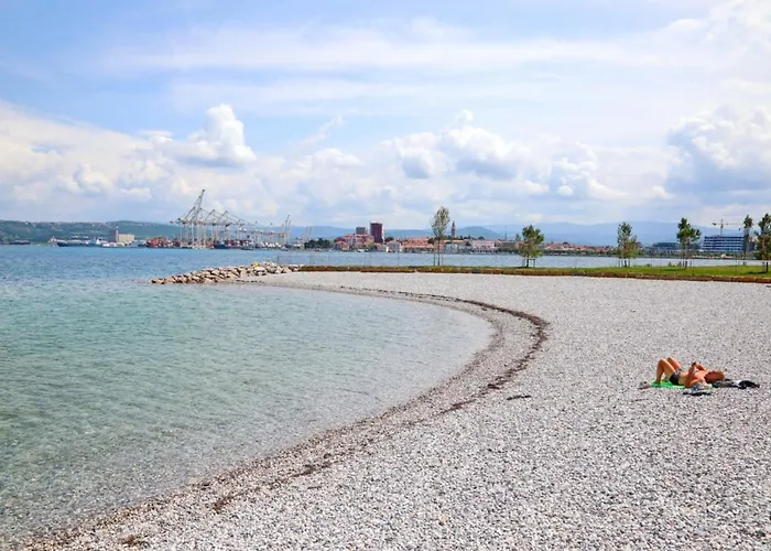 Ap Semedela Capodistria